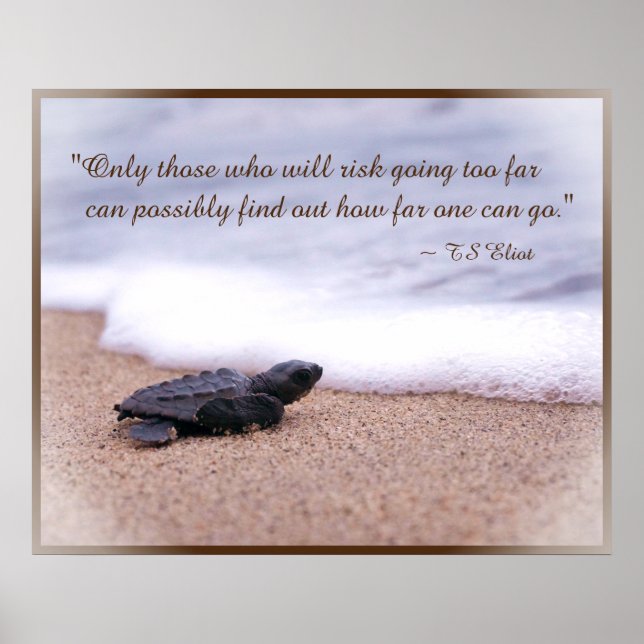 Zitat Baby Sea Turtle Sand Ocean Poster (Vorne)