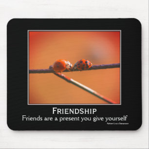 Zitat der Freundschaft Ladybugs Inspiration Mousepad