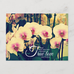 Zitat der romantischen Inspiration Postkarte