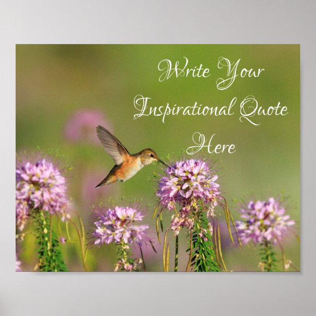 Zitat Hummingbird und Wildblumen Poster (Vorne)