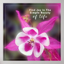 Zitat mit Foto zur kolumbianischen Blume