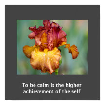 Zitat-Poster mit Inspiration