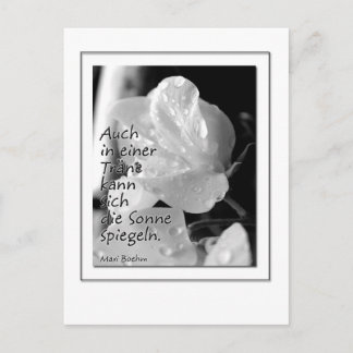 Zitat Traene Postkarte