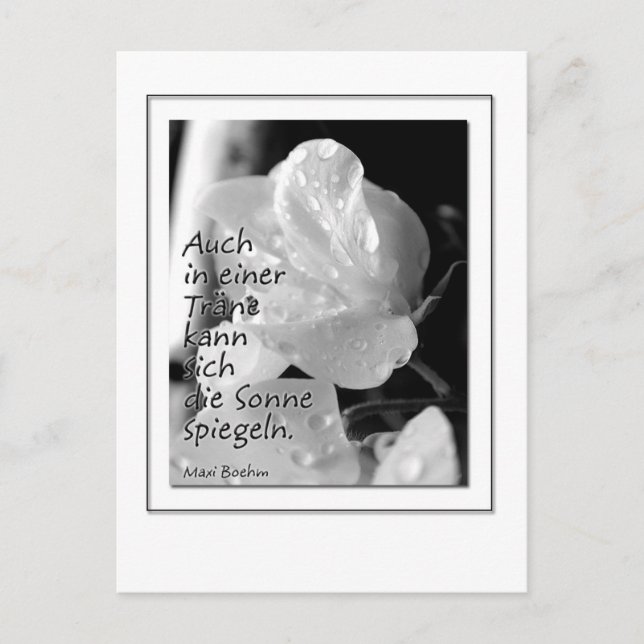Zitat Traene Postkarte (Vorderseite)