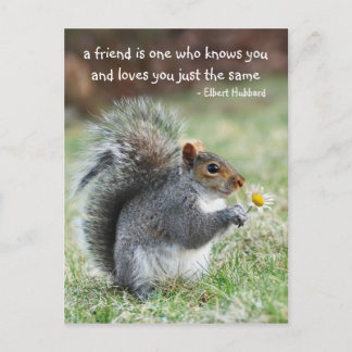 Zitat von Eichhörnchen Freundschaft Postkarte