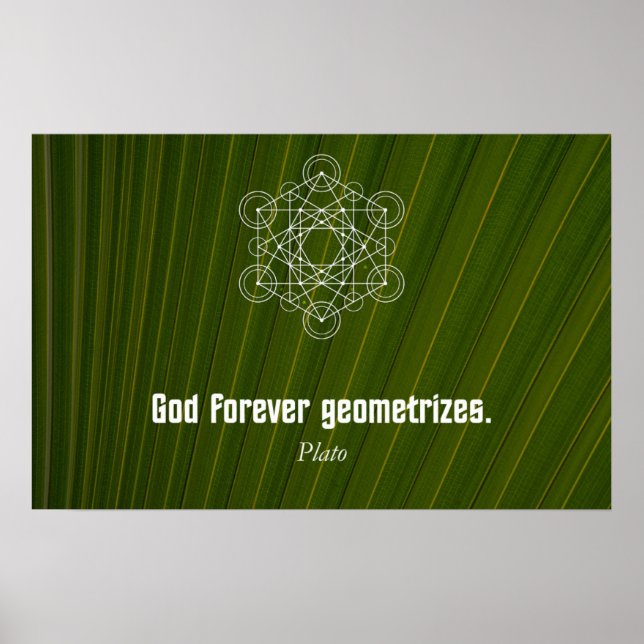 Zitat von Plato Poster (Vorne)