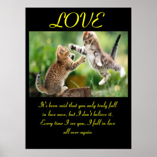 Zitat zur Liebe von Funny Cats Poster