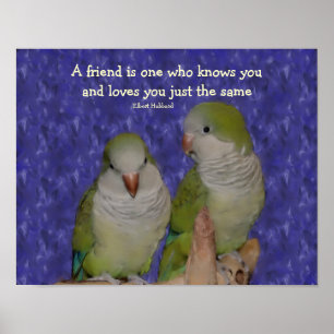 Zitat zur Partnerschaft mit Quaker Parrot Poster