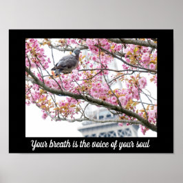 Zitate-Poster Poster