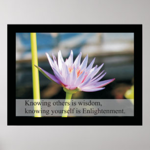 Zitate und Redewendungen zur natürlichen Gesundhei Poster