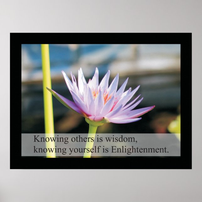 Zitate und Redewendungen zur natürlichen Gesundhei Poster (Vorne)