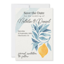 Zitrone mit blauen Blätter botanische Abbildung