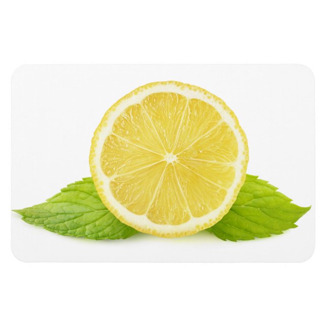 Zitrone und Minze Magnet (Horizontal)