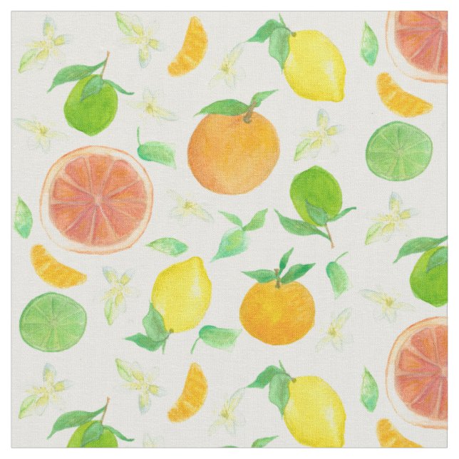 Zitronen Orangen Grapefruits Zitrusfrüchte Wasserf Stoff (Nahaufnahme)