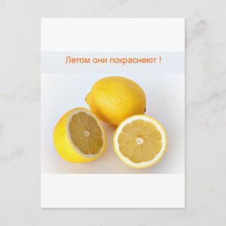 Zitronen Postkarte
