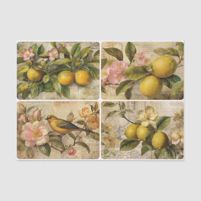 Zitronen Seidenpapier (Vorderseite)