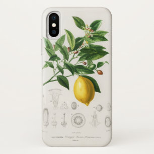 Zitronen-Zitrusfrucht Botanische Limonium-Illustra Case-Mate iPhone Hülle