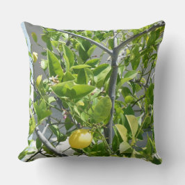 Zitronenbaum sehr schön auf diesem Kissen! Kissen