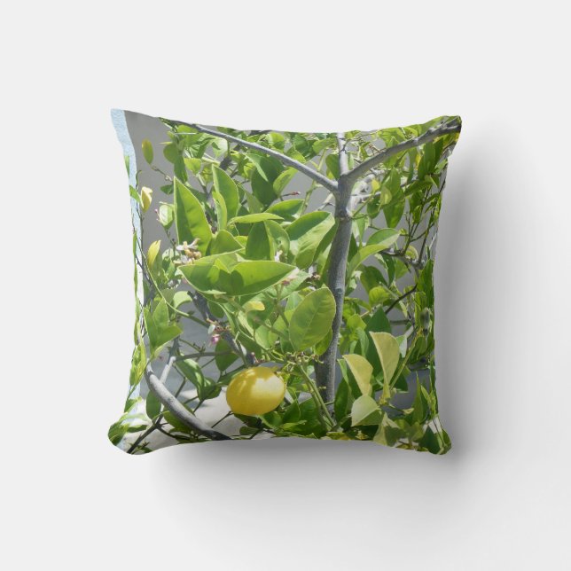 Zitronenbaum sehr schön auf diesem Kissen! Kissen (Vorderseite)
