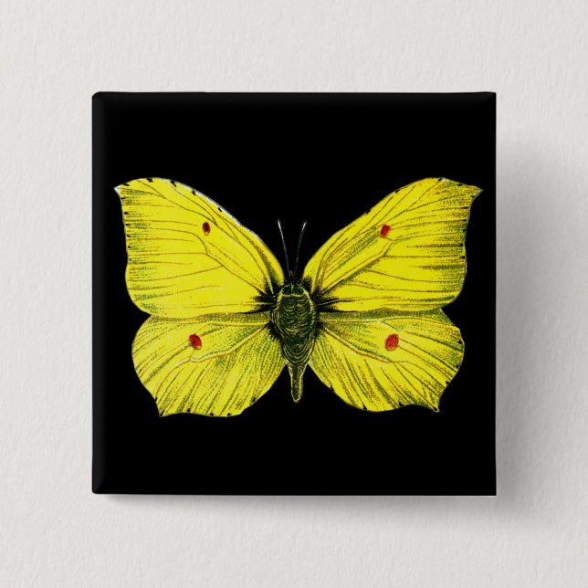Zitronenfalter Button (Vorderseite)