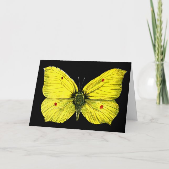 Zitronenfalter Karte (Vorderseite)