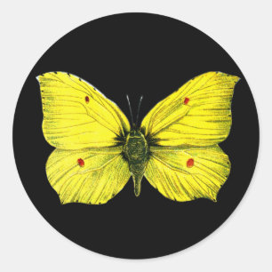 Zitronenfalter Runder Aufkleber