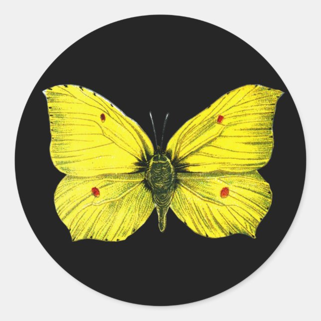 Zitronenfalter Runder Aufkleber (Vorderseite)