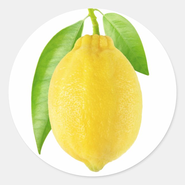 Zitronenfrucht Runder Aufkleber (Vorderseite)