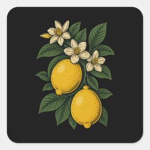 Zitronenfrucht Vintage-Kunst Zitronenfarm Quadratischer Aufkleber