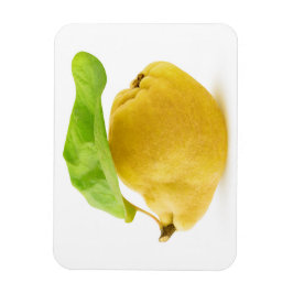 Zitronenfrüchte Magnet