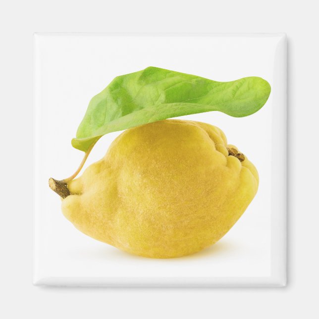 Zitronenfrüchte Magnet (Vorne)