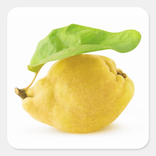 Zitronenfrüchte Quadratischer Aufkleber (Vorderseite)