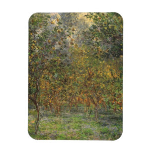 Zitronengarten in Bordighera von Claude Monet Magnet
