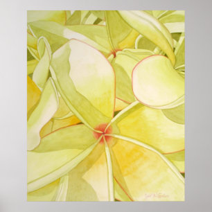 Zitronengelber Frangipani Poster