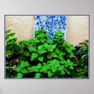 Zitronenmelissen-Kräutergarten Poster