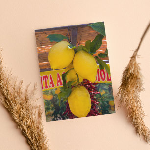 Zitronenrebe in Positano Italien Postkarte