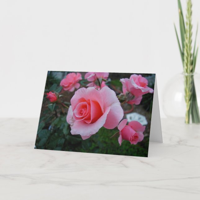 Zitrusfrucht necken karte (Vorderseite)