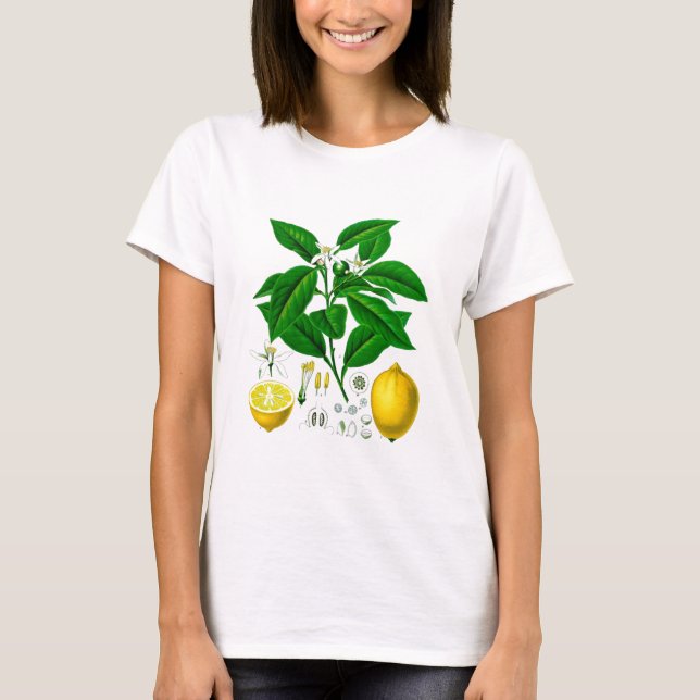 Zitrusfrucht-Zitronen-botanische Druck-Nr. 7 Kunst T-Shirt (Vorderseite)