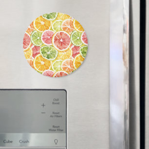 Zitrusfrüchte Limette Zitrone Orange Grapefruit Magnet