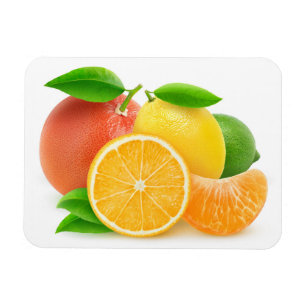 Zitrusfrüchte Magnet