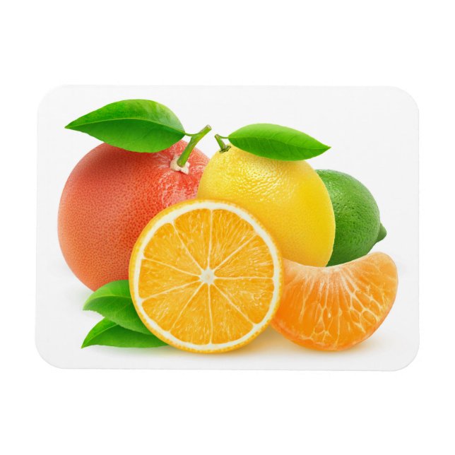 Zitrusfrüchte Magnet (Horizontal)