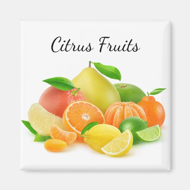 Zitrusfrüchte Magnet (Vorne)