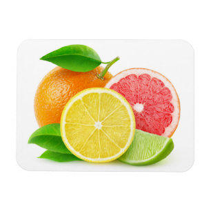 Zitrusfrüchte Magnet