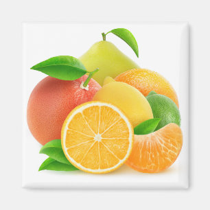 Zitrusfrüchte Magnet