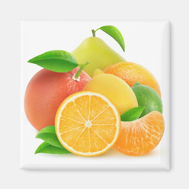 Zitrusfrüchte Magnet (Vorne)