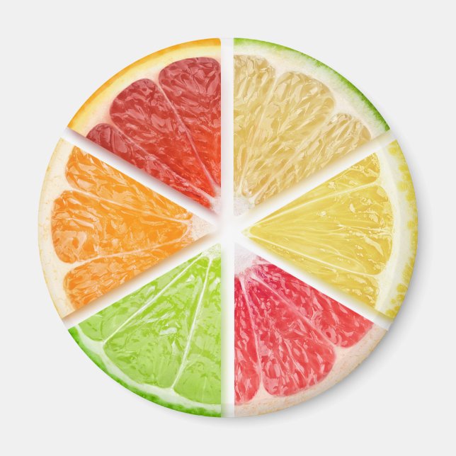 Zitrusfrüchte Magnet (Vorne)