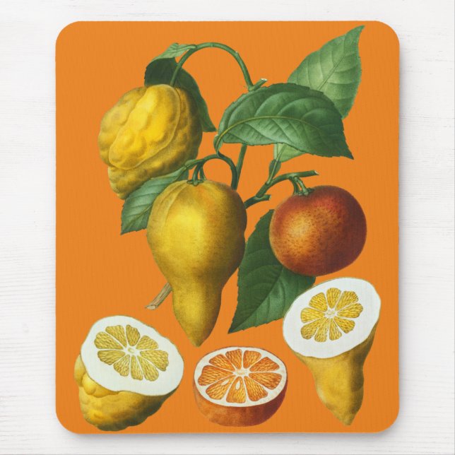 ZITRUSFRÜCHTE MOUSEPAD (Vorne)