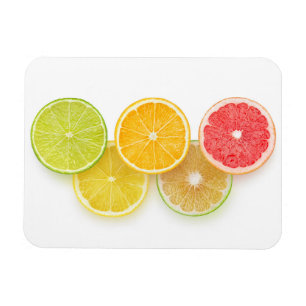 Zitrusfrüchte Olympia Magnet