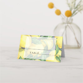 Zitrusfrüchte - Platzkarten