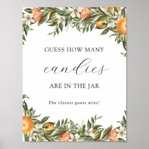 Zitrusfrüchte schätzen, wie viele sich im Jar-Dusc Poster